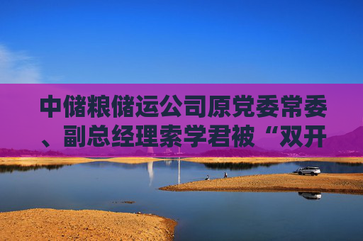 中储粮储运公司原党委常委、副总经理索学君被“双开”