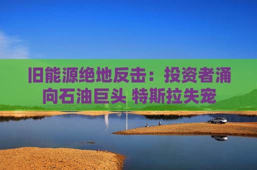 旧能源绝地反击：投资者涌向石油巨头 特斯拉失宠