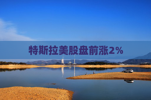 特斯拉美股盘前涨2%