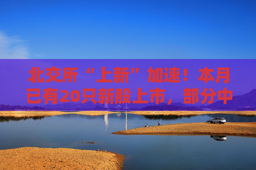 北交所“上新”加速！本月已有20只新股上市，部分中签率走高