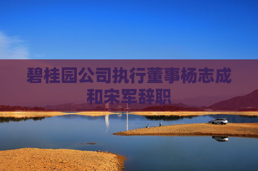 碧桂园公司执行董事杨志成和宋军辞职