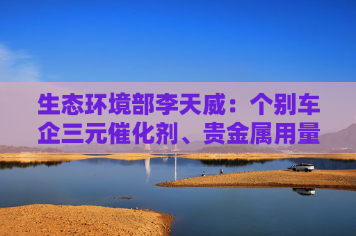 生态环境部李天威：个别车企三元催化剂、贵金属用量明显低于行业平均水平