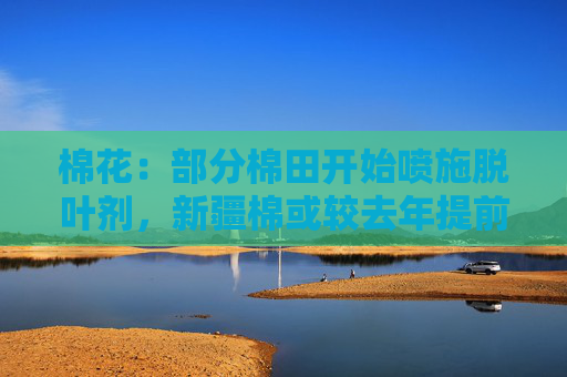 棉花：部分棉田开始喷施脱叶剂，新疆棉或较去年提前一周采收