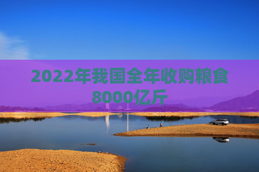 2022年我国全年收购粮食8000亿斤
