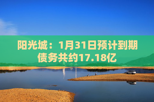 阳光城：1月31日预计到期债务共约17.18亿