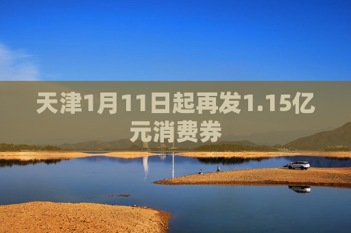 天津1月11日起再发1.15亿元消费券