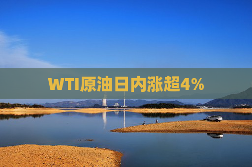 WTI原油日内涨超4%