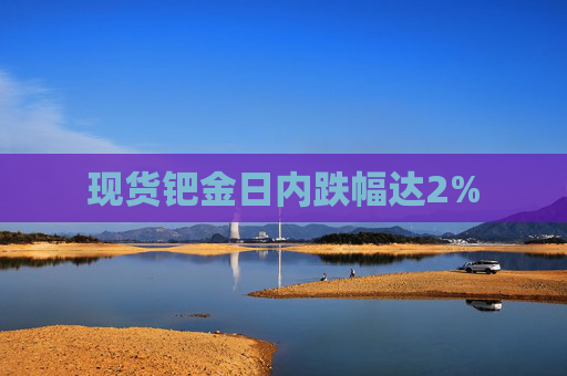 现货钯金日内跌幅达2%
