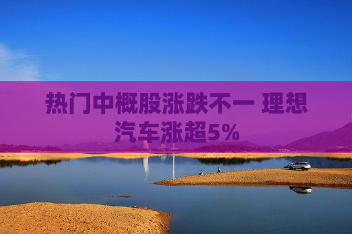 热门中概股涨跌不一 理想汽车涨超5%