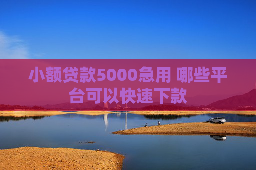小额贷款5000急用 哪些平台可以快速下款