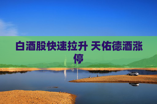 白酒股快速拉升 天佑德酒涨停