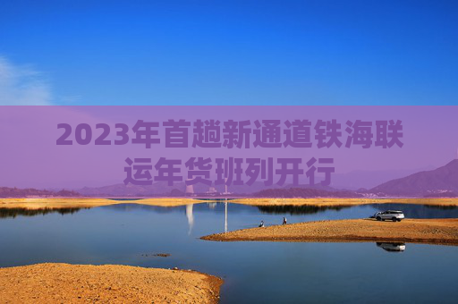 2023年首趟新通道铁海联运年货班列开行