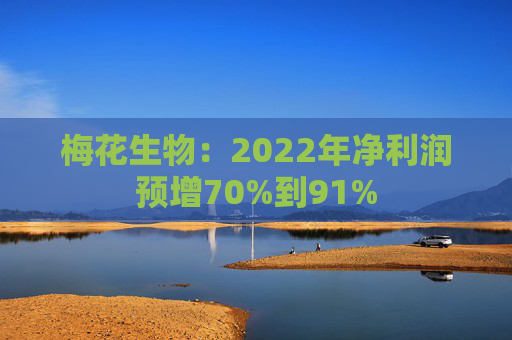 梅花生物：2022年净利润预增70%到91%