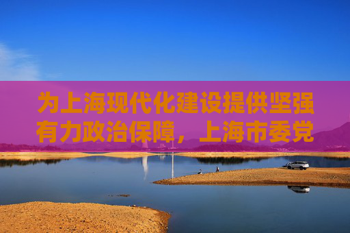 为上海现代化建设提供坚强有力政治保障，上海市委党的建设工作领导小组会议明确今年工作重点