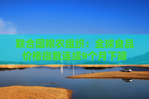 联合国粮农组织：全球食品价格指数连续9个月下降