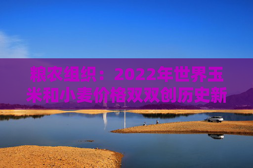 粮农组织：2022年世界玉米和小麦价格双双创历史新高