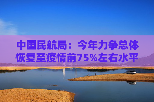 中国民航局：今年力争总体恢复至疫情前75%左右水平