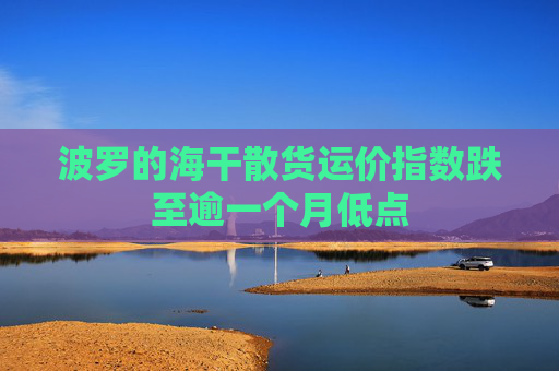 波罗的海干散货运价指数跌至逾一个月低点