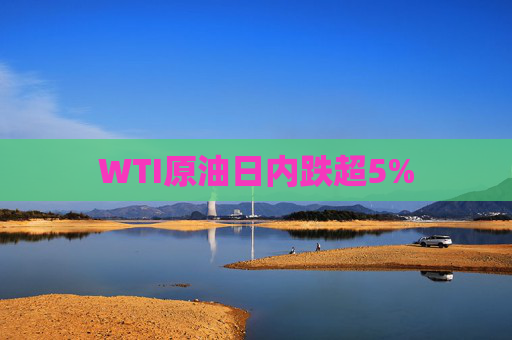 WTI原油日内跌超5%
