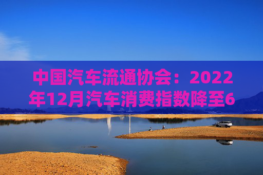 中国汽车流通协会：2022年12月汽车消费指数降至60.9，预期1月购车需求有所下降