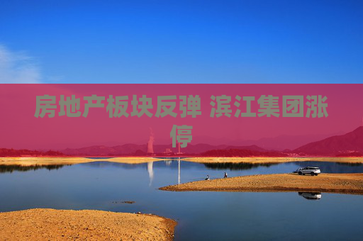 房地产板块反弹 滨江集团涨停