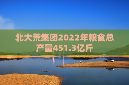 北大荒集团2022年粮食总产量451.3亿斤