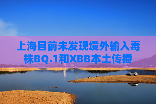 上海目前未发现境外输入毒株BQ.1和XBB本土传播