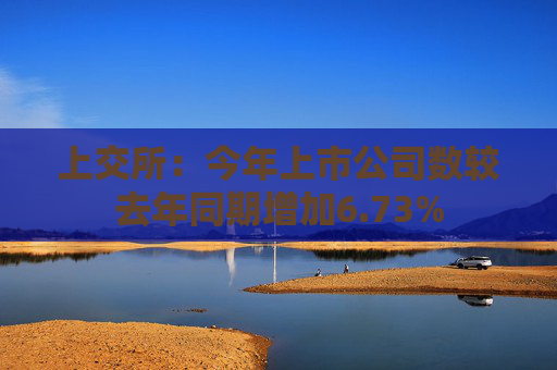 上交所：今年上市公司数较去年同期增加6.73%