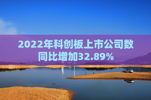 2022年科创板上市公司数同比增加32.89%