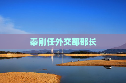 秦刚任外交部部长