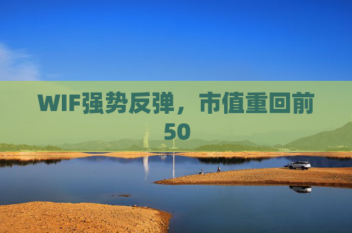 WIF强势反弹，市值重回前50