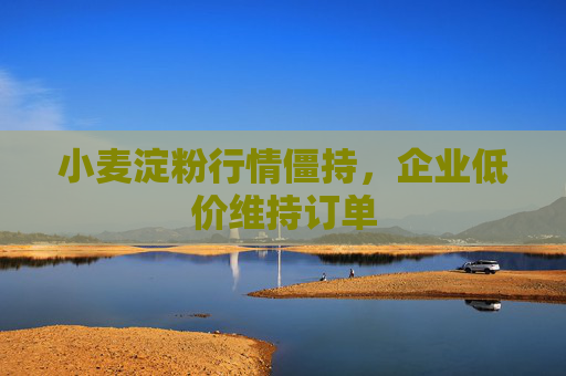 小麦淀粉行情僵持，企业低价维持订单