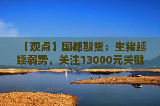 【观点】国都期货：生猪延续弱势，关注13000元关键支撑位