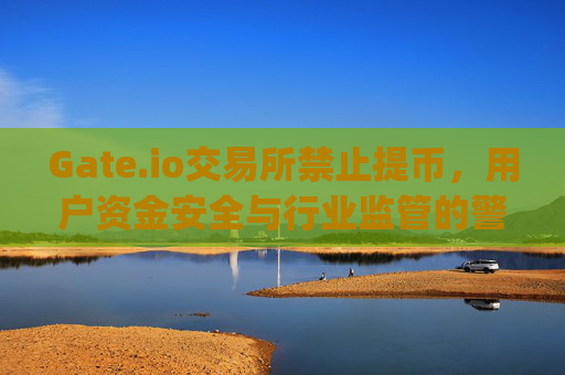 Gate.io交易所禁止提币，用户资金安全与行业监管的警示 gateio交易所禁止提币