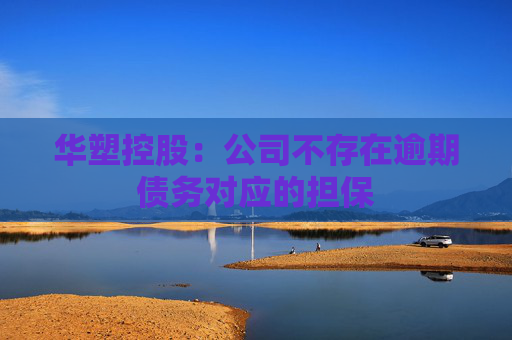 华塑控股：公司不存在逾期债务对应的担保