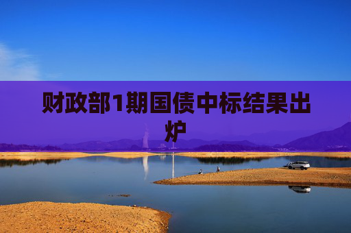 财政部1期国债中标结果出炉
