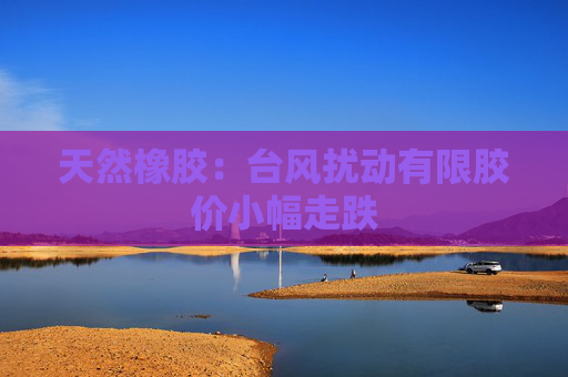天然橡胶：台风扰动有限胶价小幅走跌
