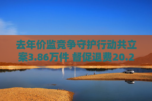 去年价监竞争守护行动共立案3.86万件 督促退费20.25亿元
