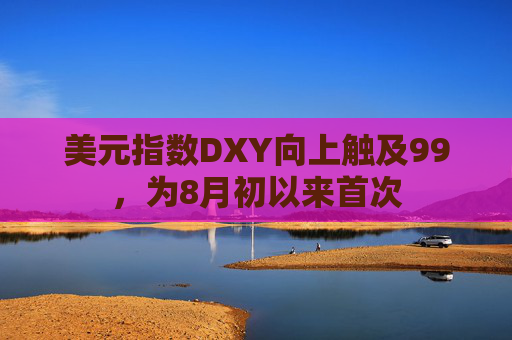 美元指数DXY向上触及99，为8月初以来首次