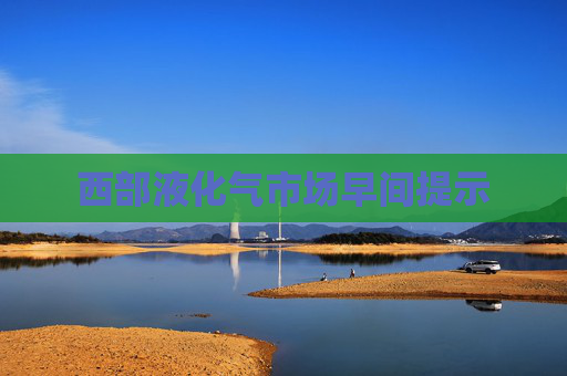 西部液化气市场早间提示