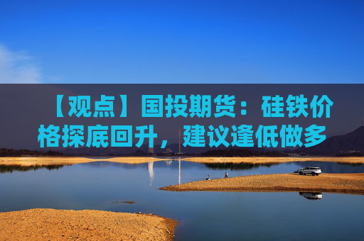 【观点】国投期货：硅铁价格探底回升，建议逢低做多抢机会
