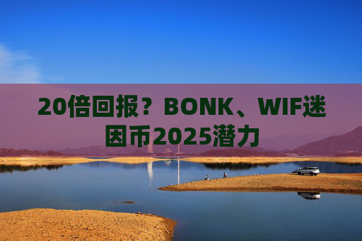 20倍回报？BONK、WIF迷因币2025潜力