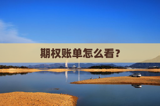 期权账单怎么看？