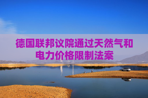 德国联邦议院通过天然气和电力价格限制法案
