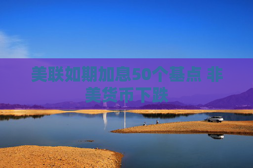 美联如期加息50个基点 非美货币下跌