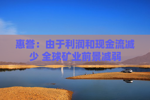惠誉：由于利润和现金流减少 全球矿业前景减弱