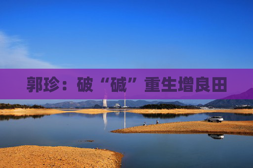 郭珍：破“碱”重生增良田