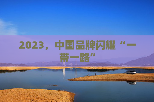 2023，中国品牌闪耀“一带一路”