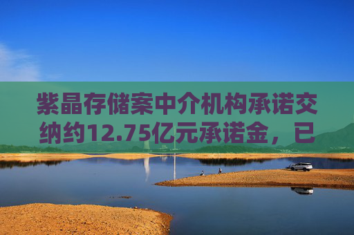 紫晶存储案中介机构承诺交纳约12.75亿元承诺金，已赔偿投资者约10.86亿元并整改