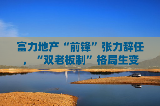 富力地产“前锋”张力辞任，“双老板制”格局生变